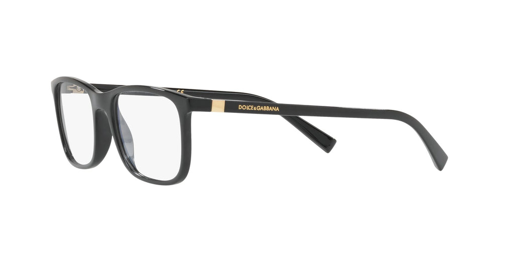 Dolce & Gabbana DG5027 501 55