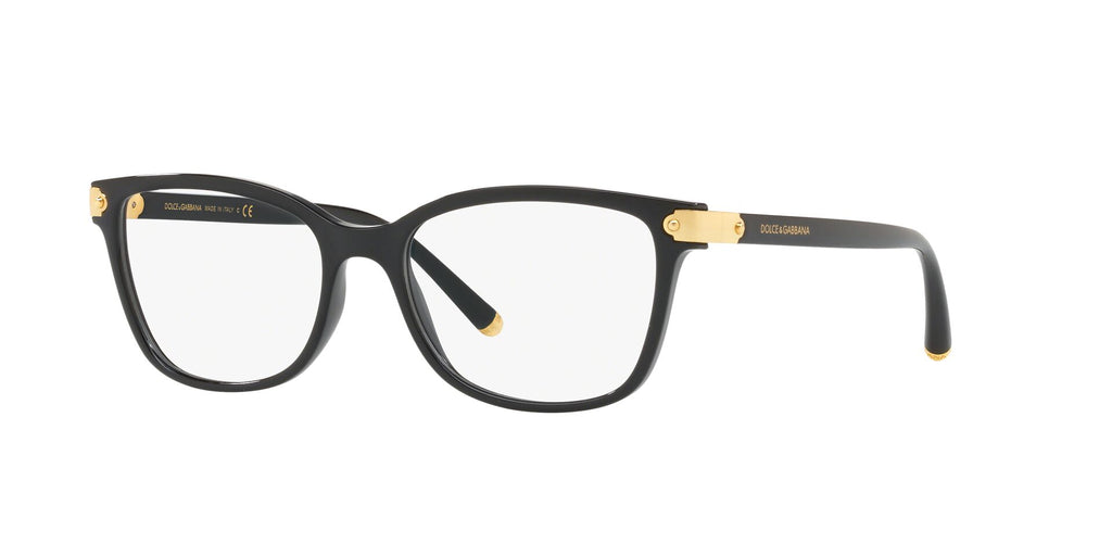 Dolce & Gabbana DG5036 501 53