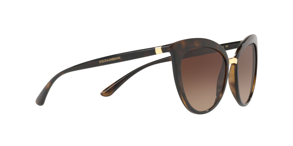 Dolce & Gabbana DG6113 502/13